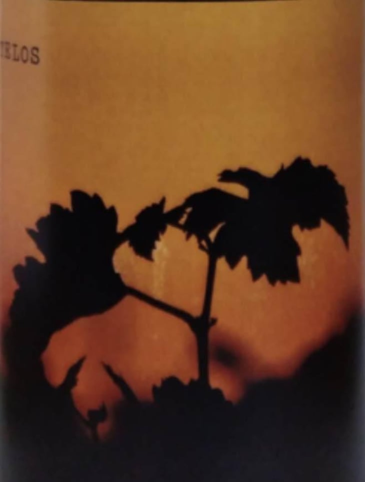 Telos - Vintopia - clemente-enrique-ortiz-martinez 