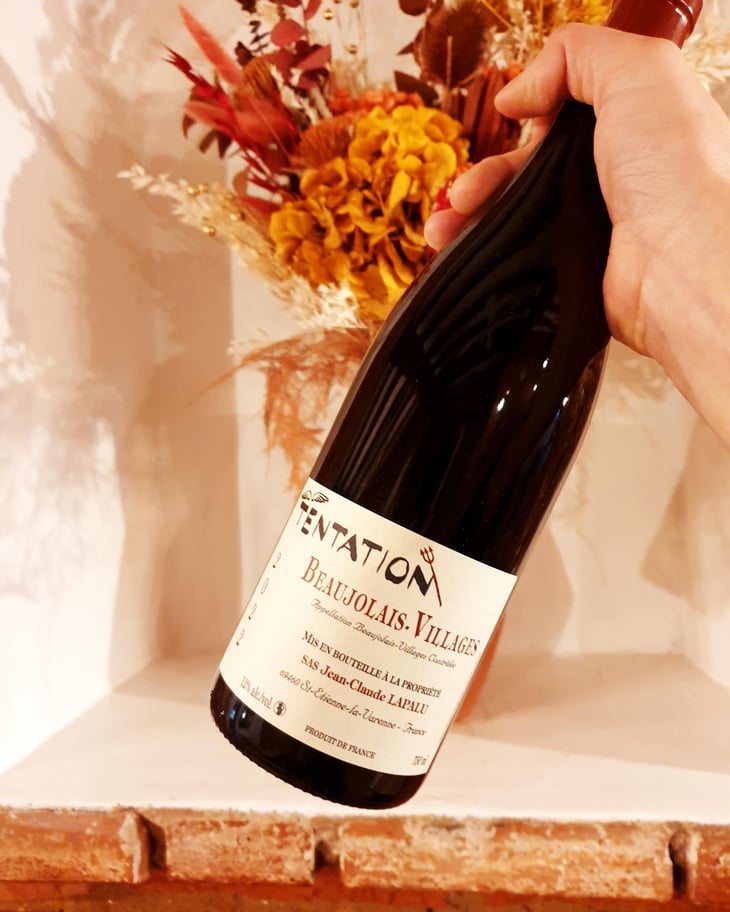 Tentation syrah - Jean-Claude Lapalu - jean-claude-lapalu -2021