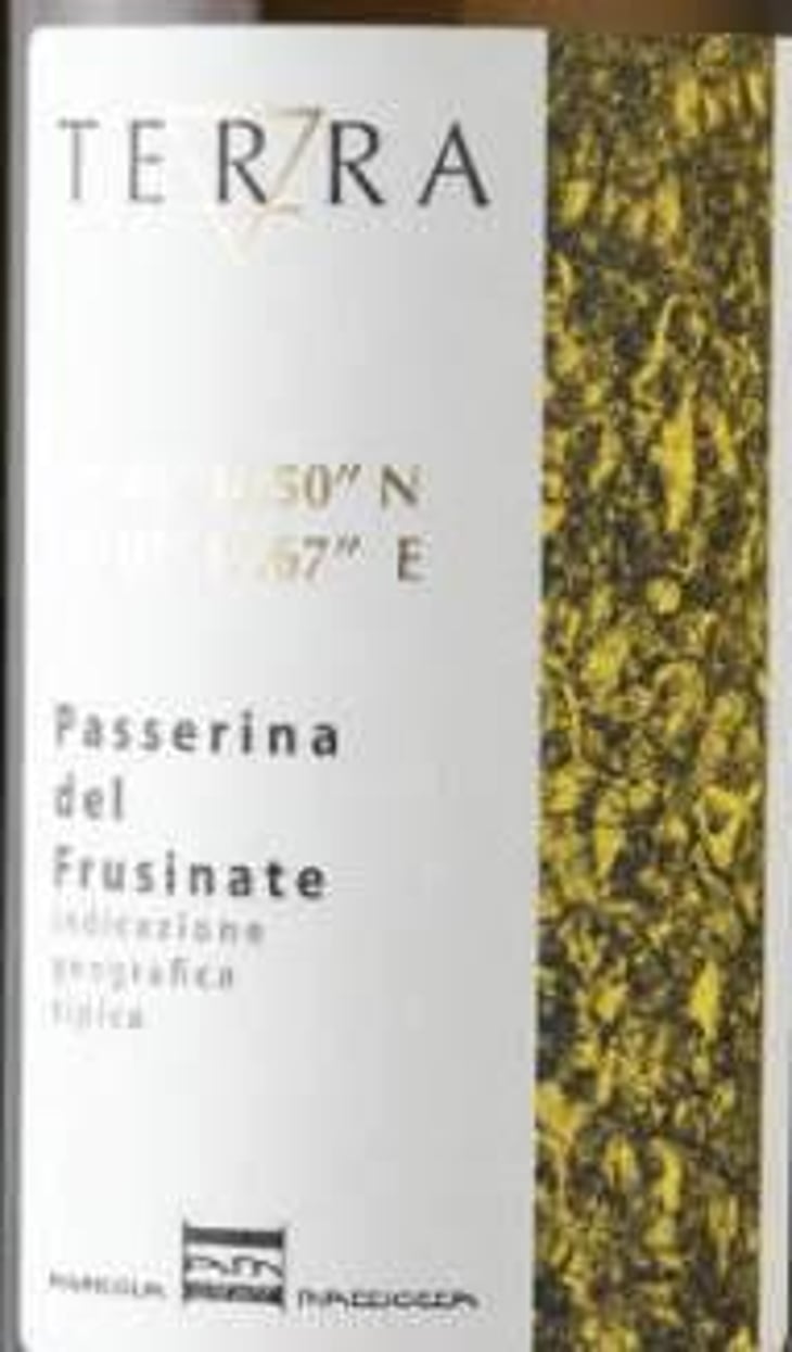 Terra Bianco - Agricola Agricola Macciocca - mario-macciocca 