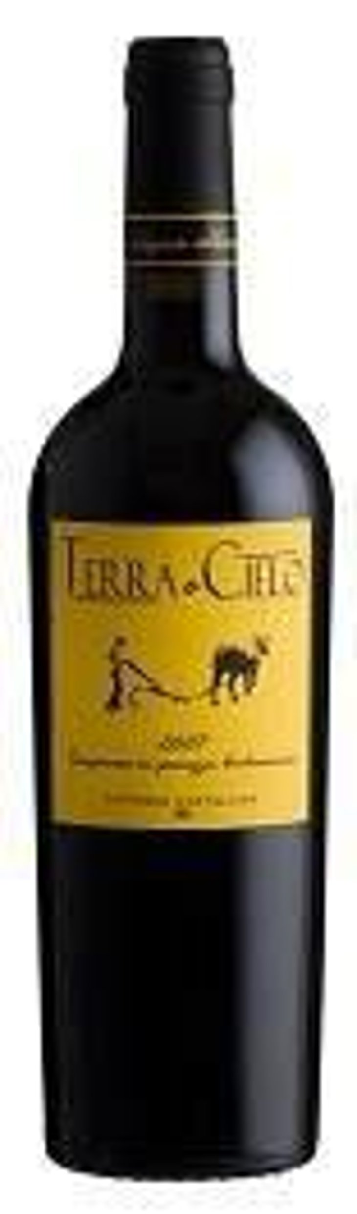 Terra e Cielo (old label) - Fattoria Castellina - francesco-montomoli 