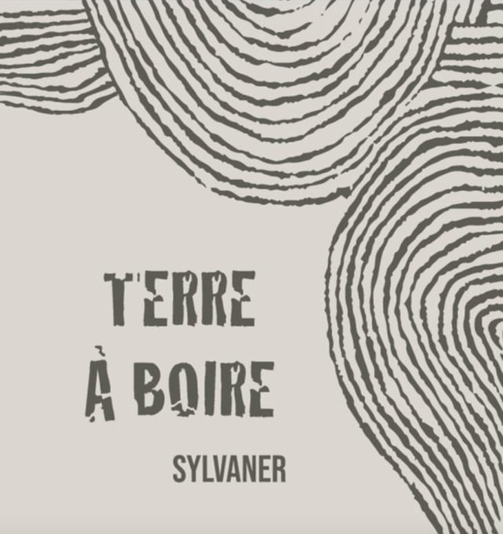 Terre À Boire - Léo Dirringer - leo-dirringer 