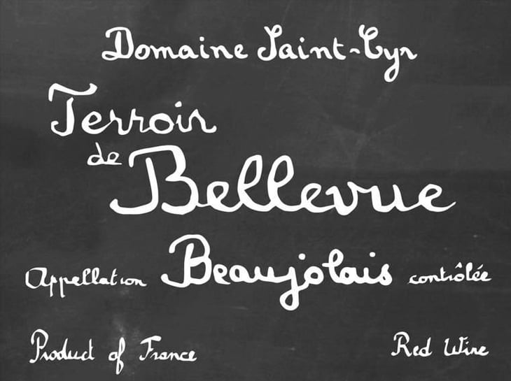 Terroir de Bellevue - Domaine Saint-Cyr - raphael-saint-cyr 