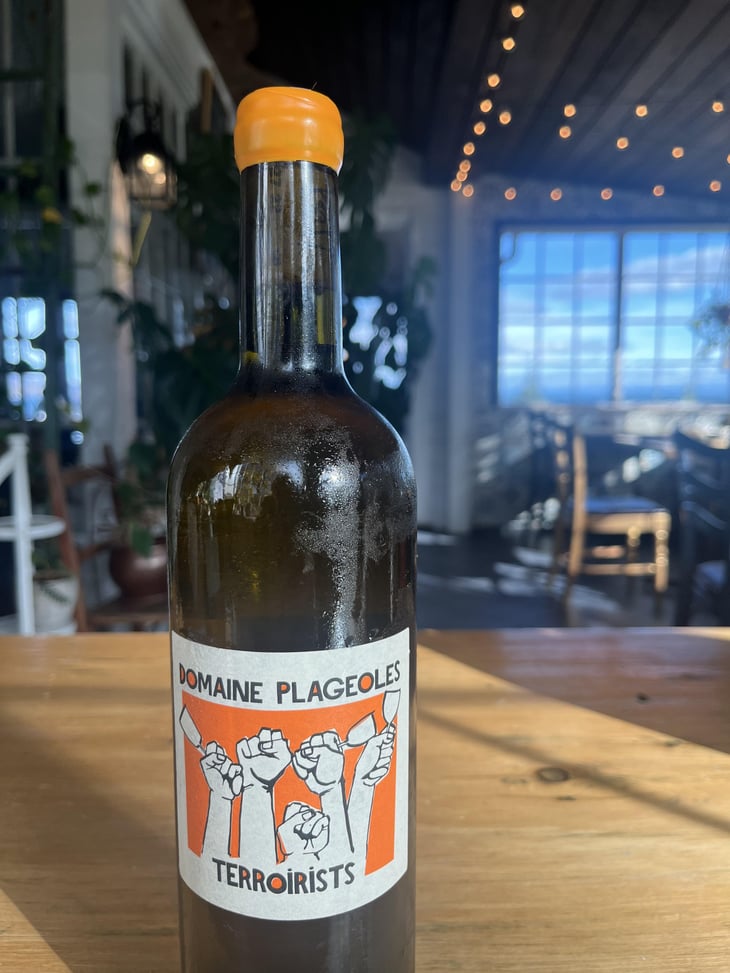 Terroirists - Domaine Plageoles - bernard-florent-romain-plageoles 