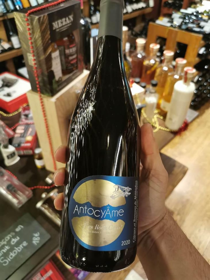 T'es Rock Coco - AntocyÂme - muriel-zoldan -2020