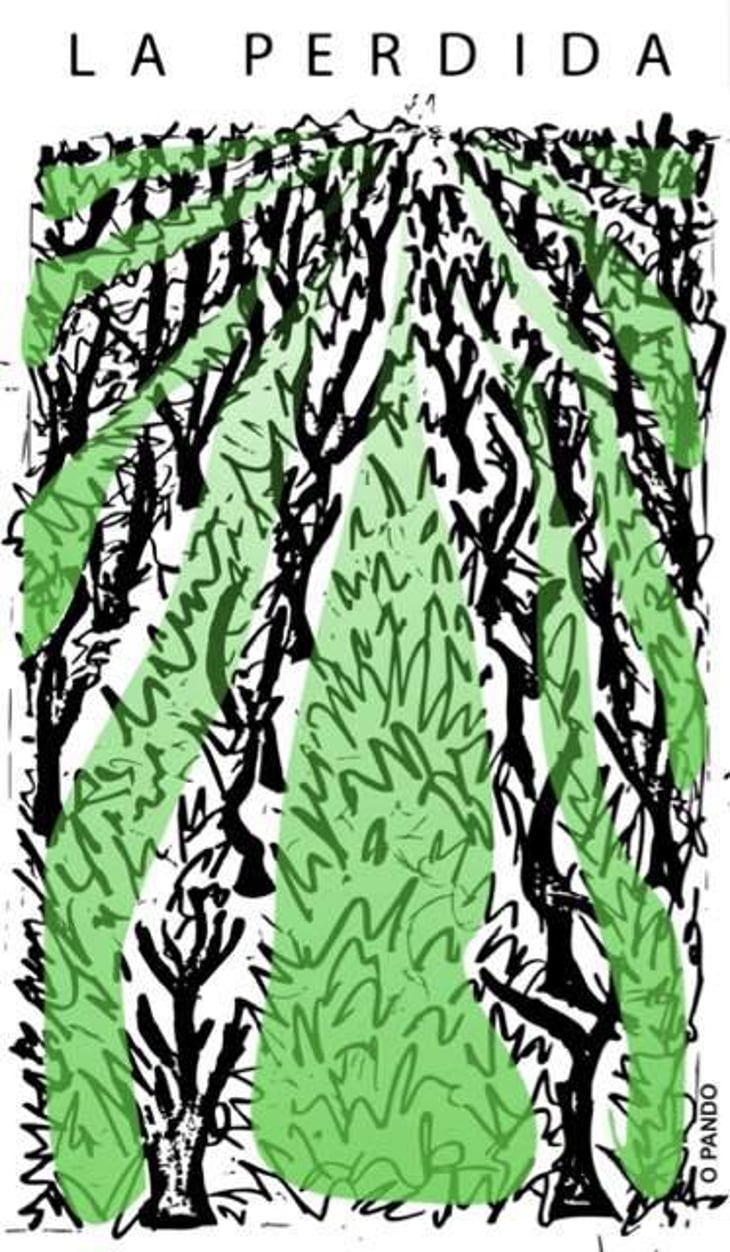 O Pando - La Perdida - nacho-gonzalez 