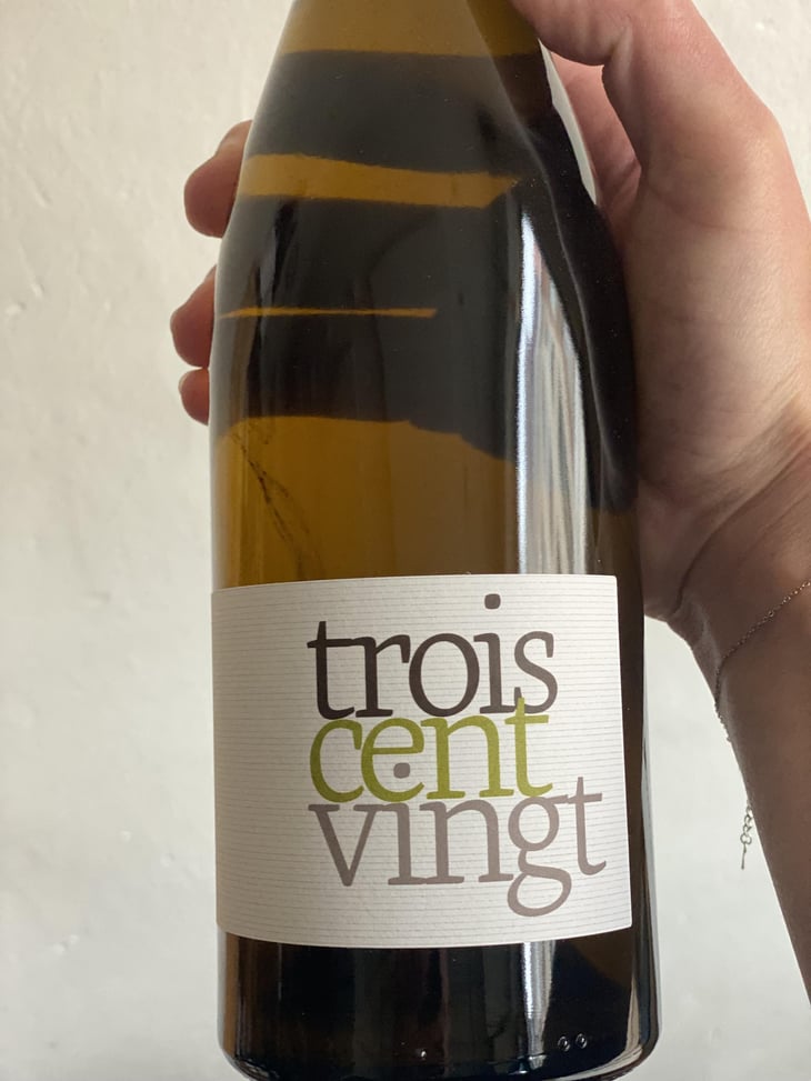 troiscentvingt - Domaine Pion - romain-pion -2021