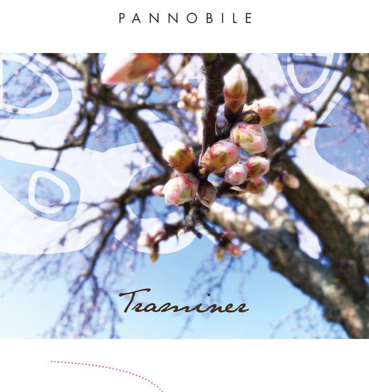 Traminer - Weingut Beck - judith-beck -2024