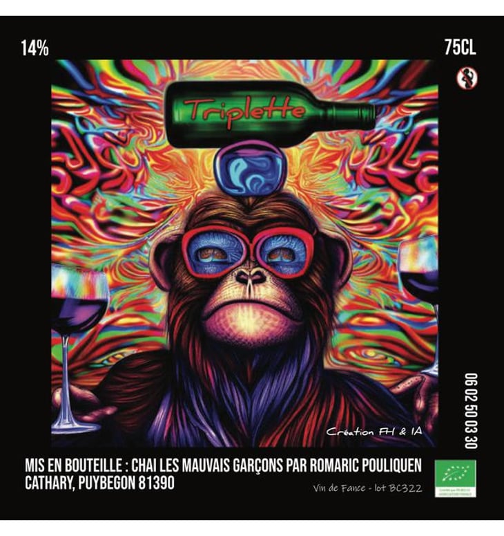 Triplette Rouge - Chai les Mauvais Garçons - florian-houard-et-romaric-pouliquen 