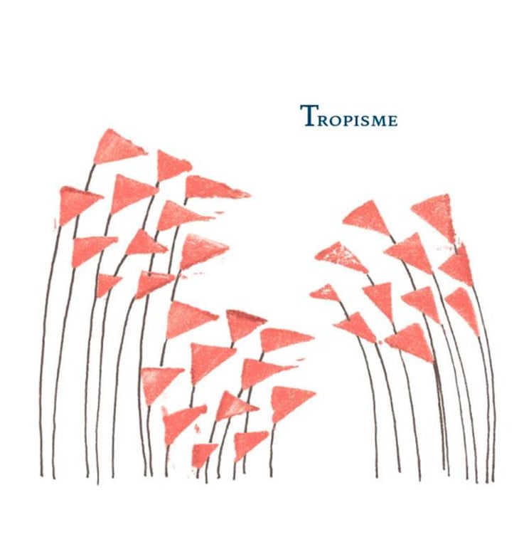 Tropisme - Combrillac - florent-girou-thien-uyen-do 