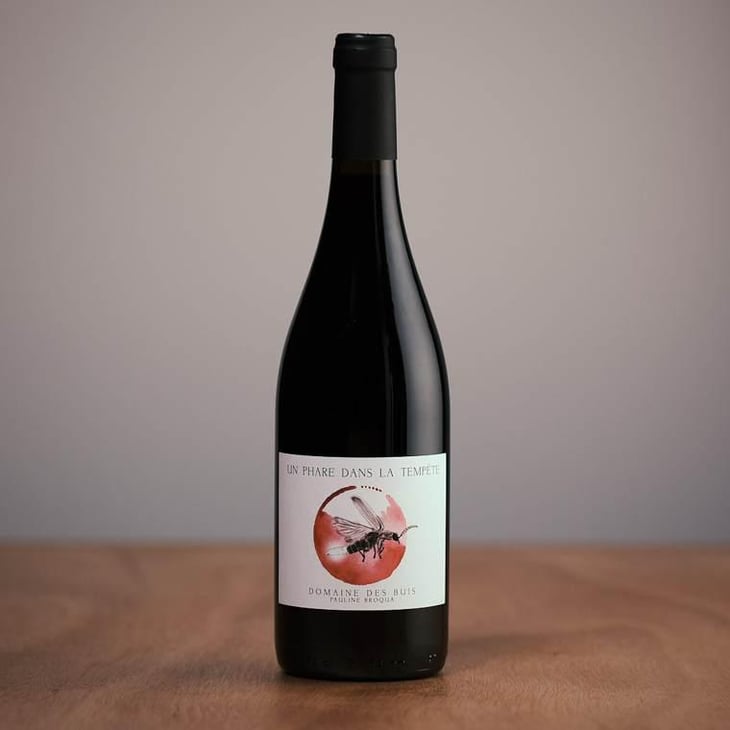 Un phare dans la tempête - Domaine des Buis - pauline-broqua -2021