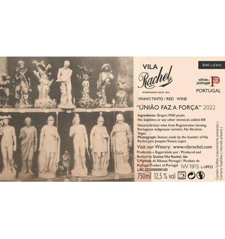 União Faz a Força - Quinta Vila Rachel - tiago-cartageno 