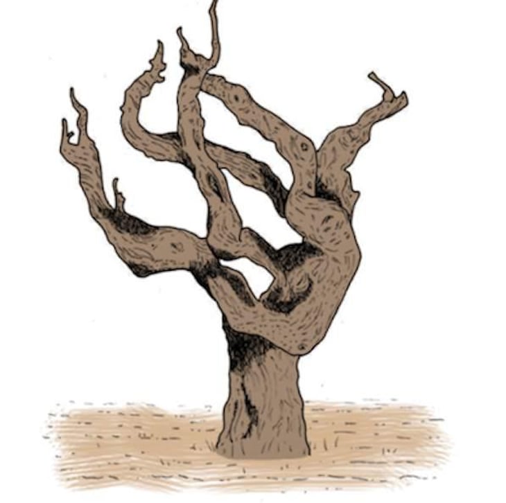 Unica - Altea Illotto - adriano-altea-maurizio-altea-adele-illotto 