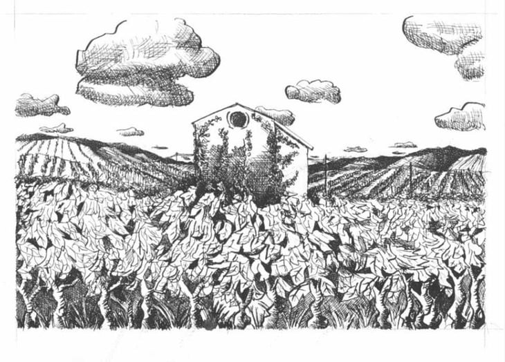 Via del Gelso - Via del Gelso - carlotta-giov-battista-piacentino 