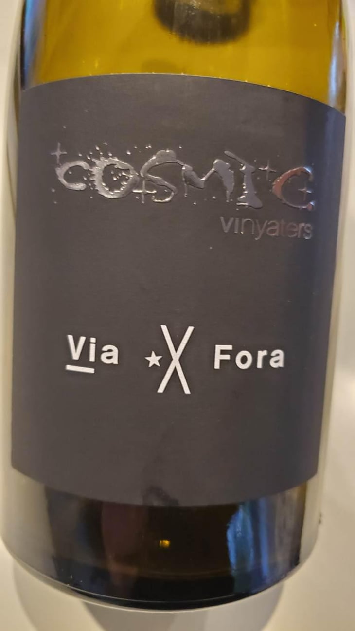 Via X Fora - Còsmic Vinyaters - salvador-batlle-barrabeig -2019