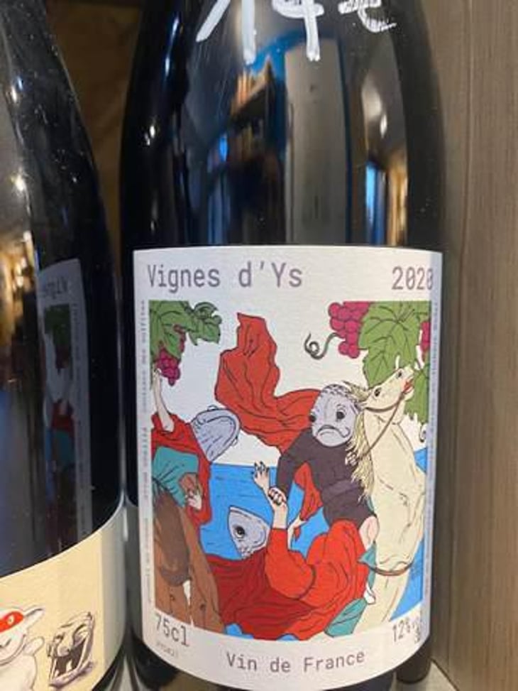 Vigne d'Ys - Bariou & Bodet - jennifer-bariou-thibaut-bodet 