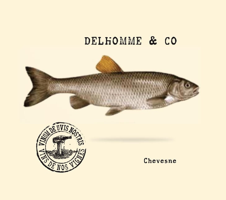 Vignes de la Justice - Delhomme & co - baptiste-delhomme -2022