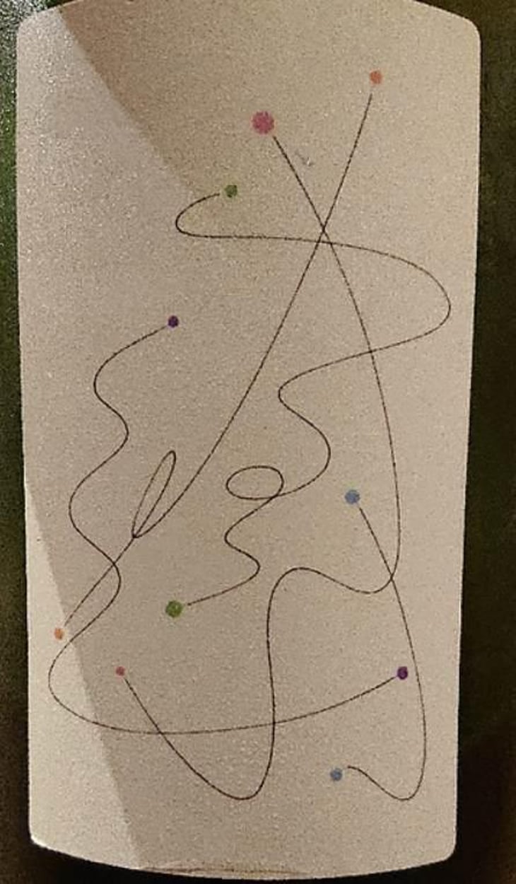 Vin-Shu Pet Nat - Botanical Life - junpei-emi-fukunaga 