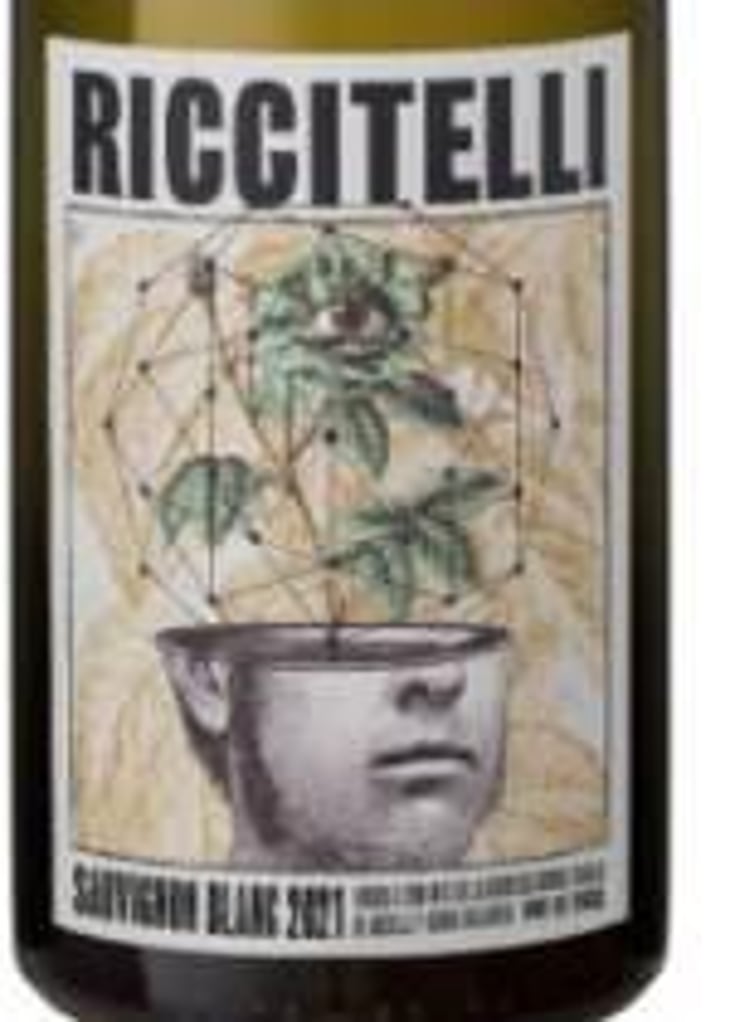 Viña Extrema-Vino de La Carrera – Finca María Bombal - Riccitelli Wines - matias-riccitelli 