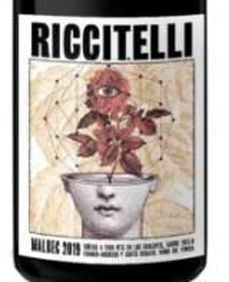 Viña Extrema – Vino de Los Chacayes - Riccitelli Wines - matias-riccitelli 