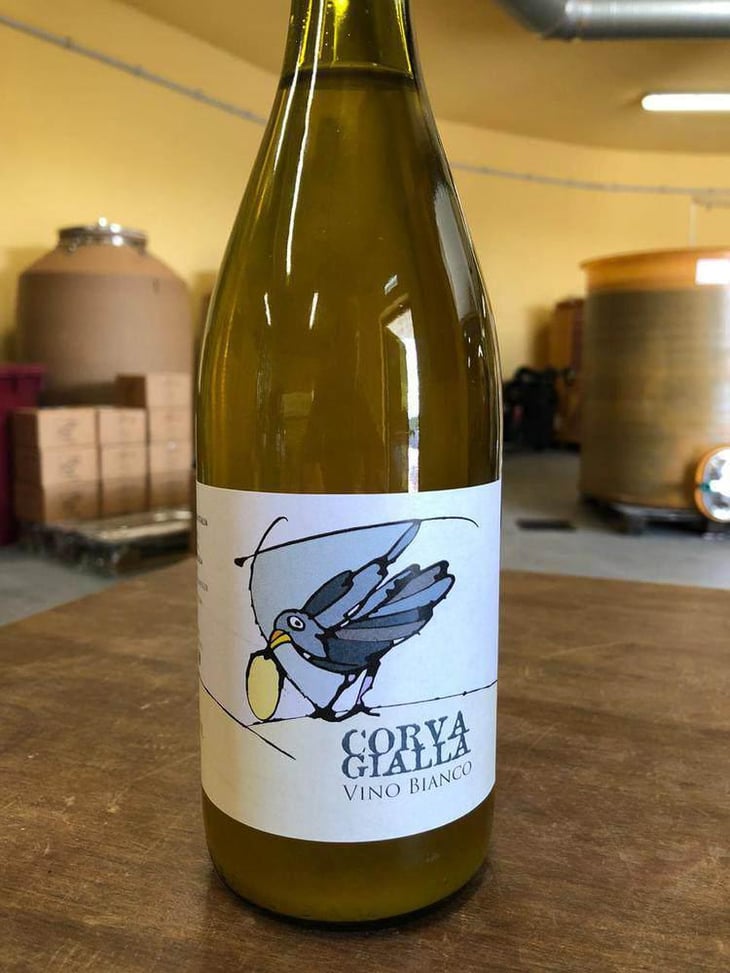 Vino Bianco - Azienda Agricola Corvagialla - beatrice-arweiler 