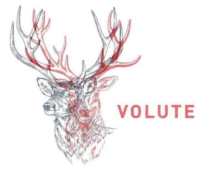 Volute - Les Équilibristes - francois-de-monval-florent-girou 