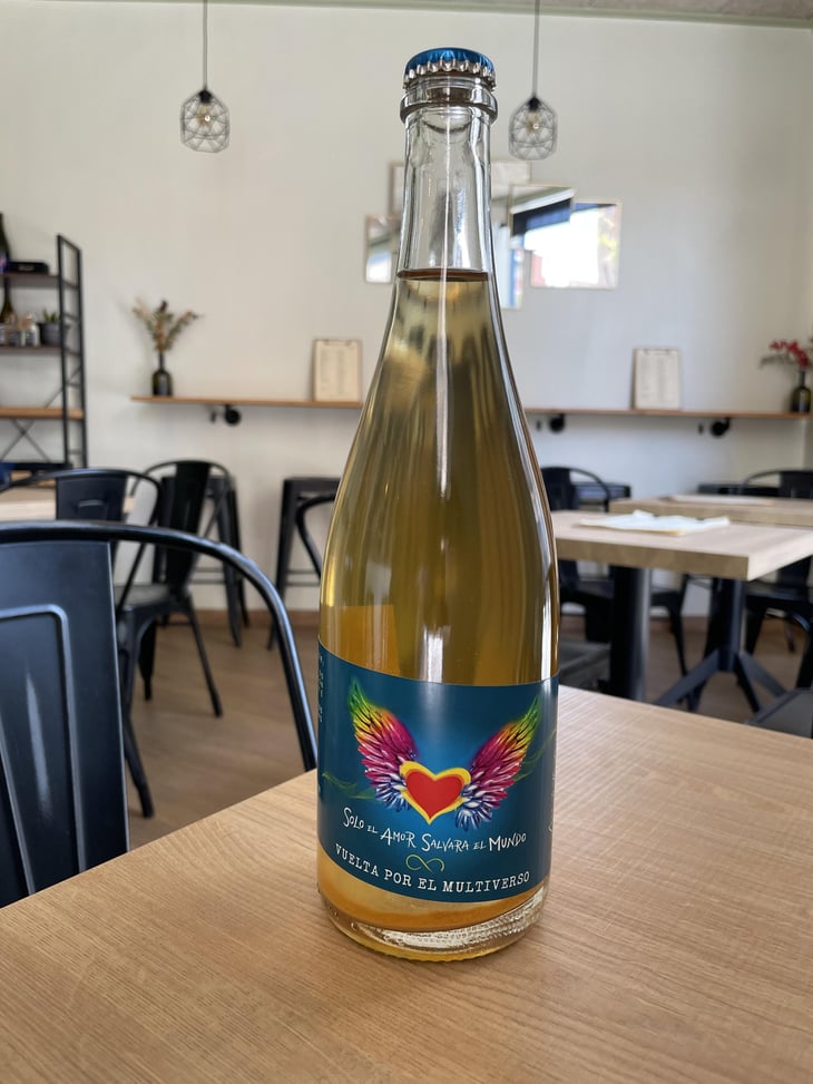 Vuelta por el Multiverso - Solo El Amor Salvara Al Mundo - pablo-quiroga 