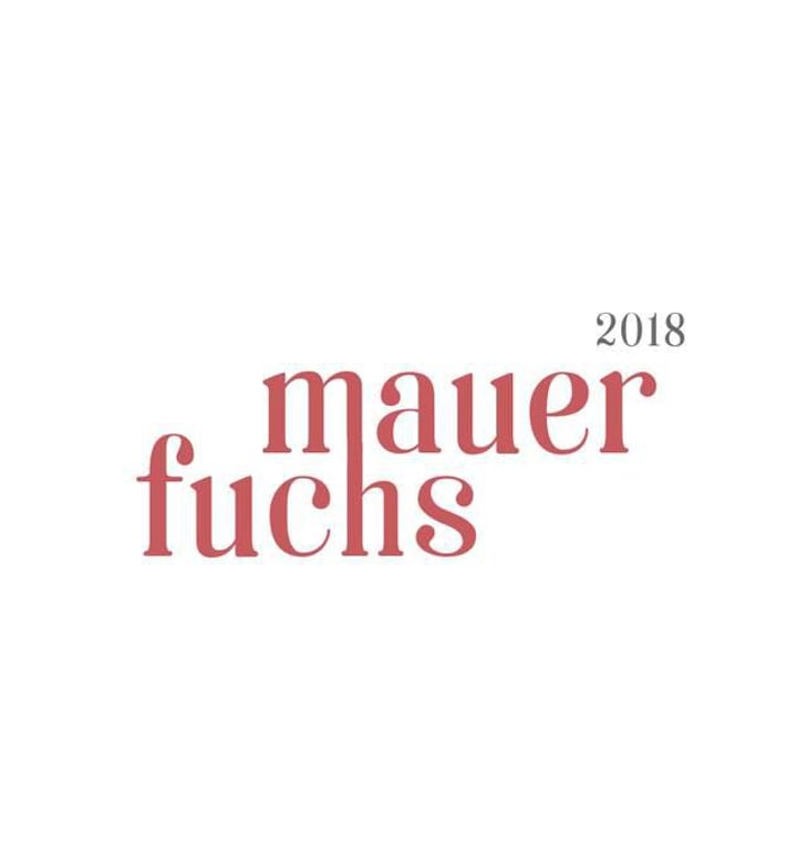 Mauerfuchs - Jakob Tennstedt - jakob-tennstedt 