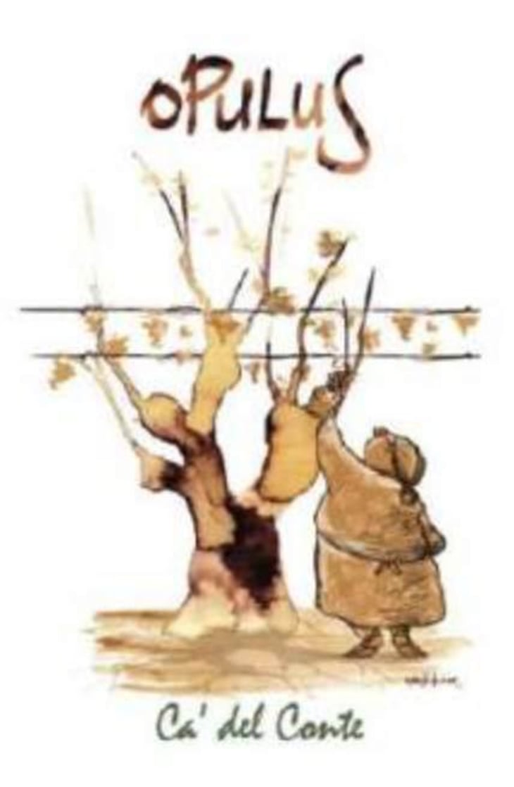 Opulus - Ca' del Conte - paolo-martina-macconi 