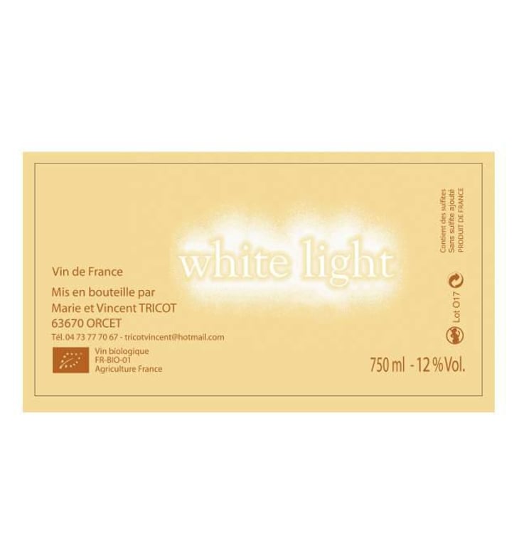 White Light - Marie et Vincent Tricot - vincent-et-marie-tricot 