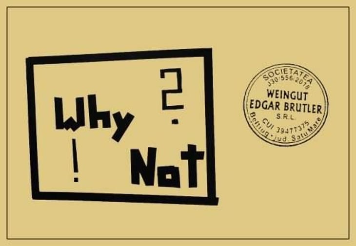 Why? Not! - Weingut Edgar Brutler - johann-katharina-edgar-brutler-philipp-heinzl 