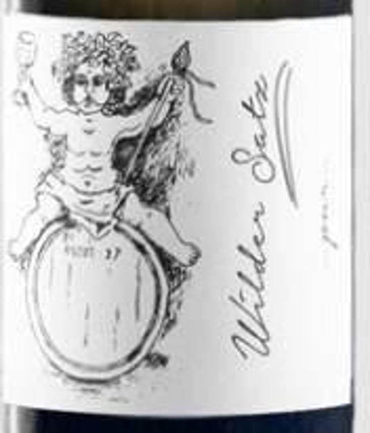 Wilder Satz - Brand Bros - Weingut Brand - daniel-jonas-brand 