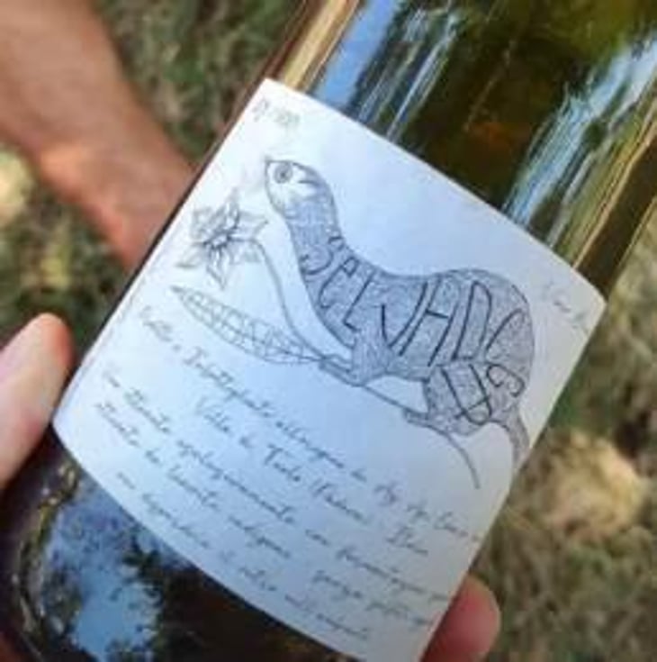 Selvadega - Azienda Agricola Ananda - edoardo-sacchetto 