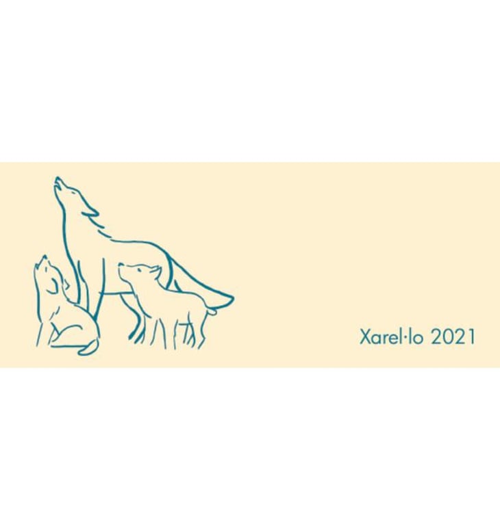 Xarel.lo 6 Weeks Skin Maceration - La Forastera - matthias-van-der-sluis 