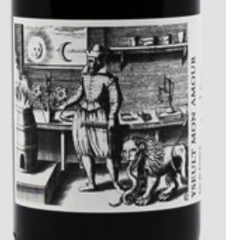 Yseult Mon Amour - Vincent Ruiz - vincent-ruiz 