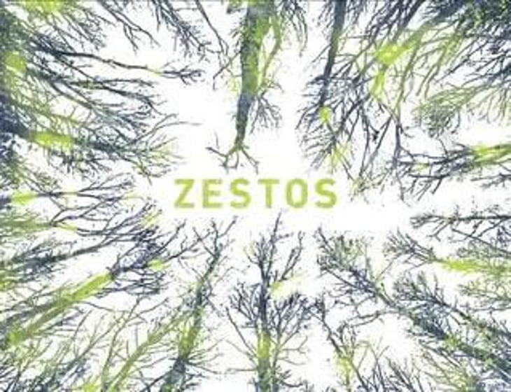 Zestos - Les Équilibristes - francois-de-monval-florent-girou 