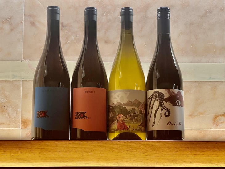 Zweigelt - Weingut Beck - judith-beck -2022