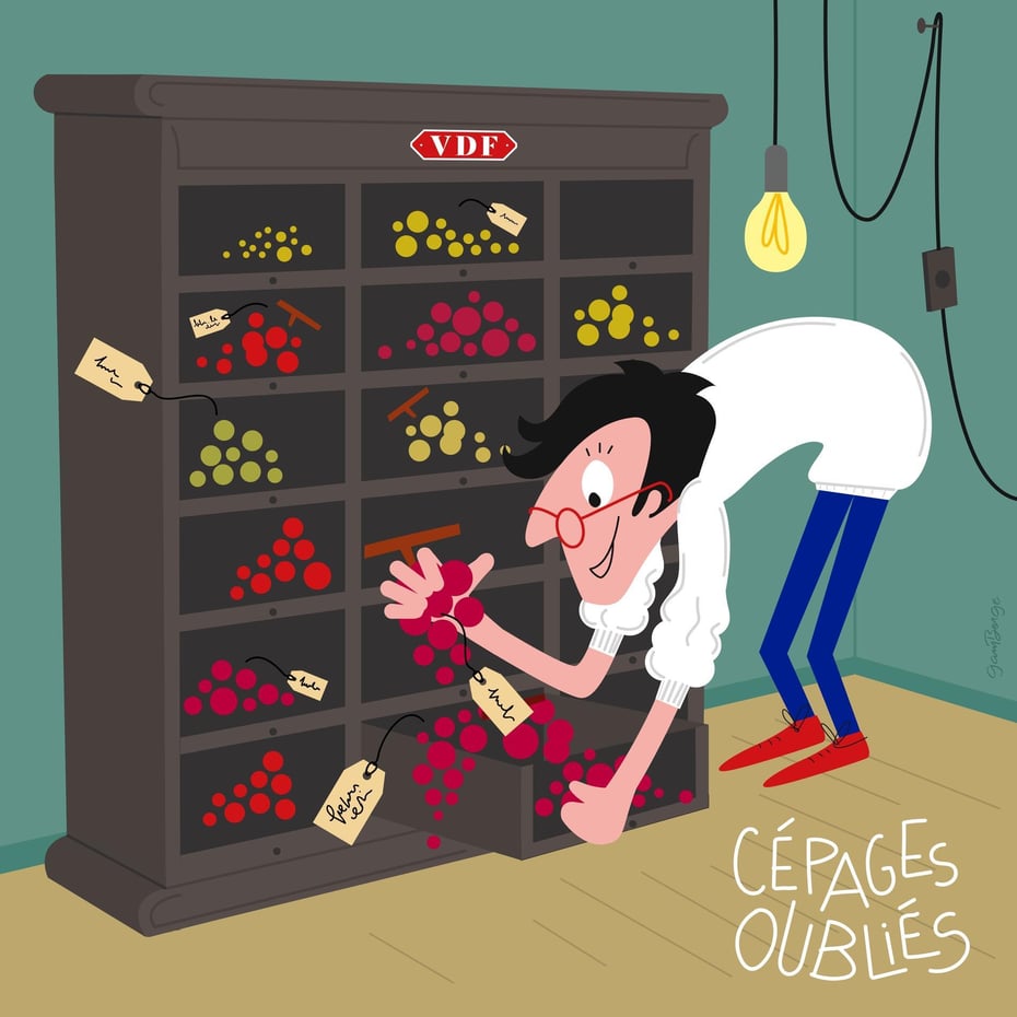 Vin de France