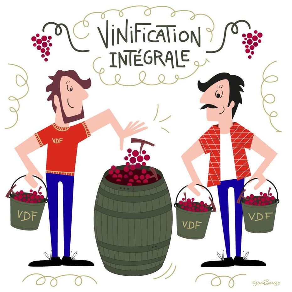  « Vin de France » ?