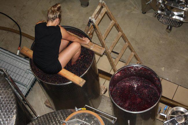 ktima ligas domaine ligas natural wine vin naturel