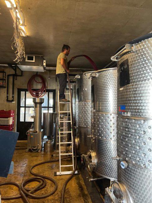 Sept Winery cellar with natural wine aging
