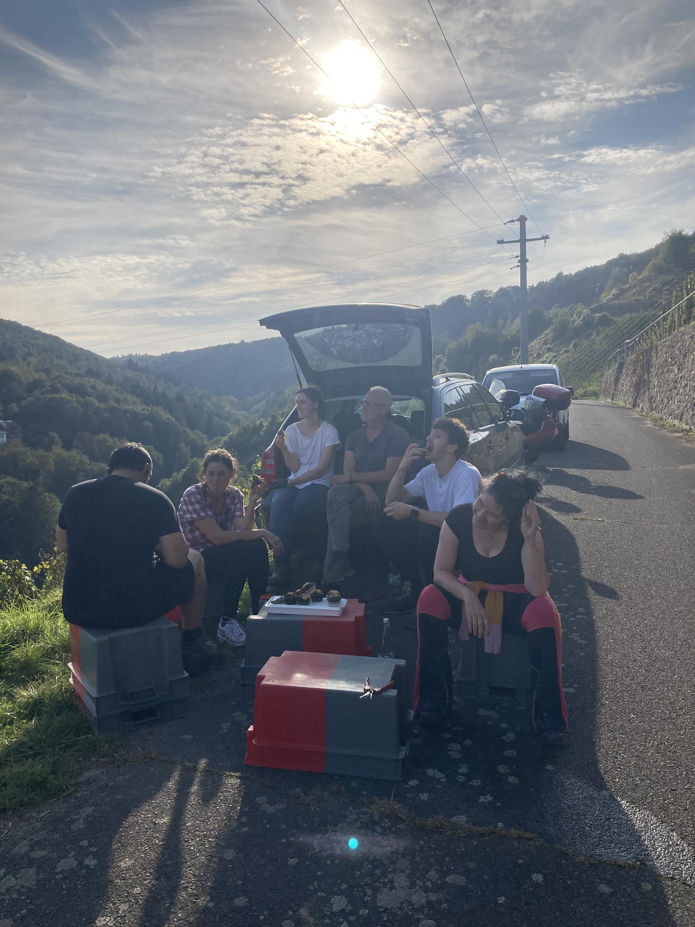 Harvest in the beautiful steep Mosel valley