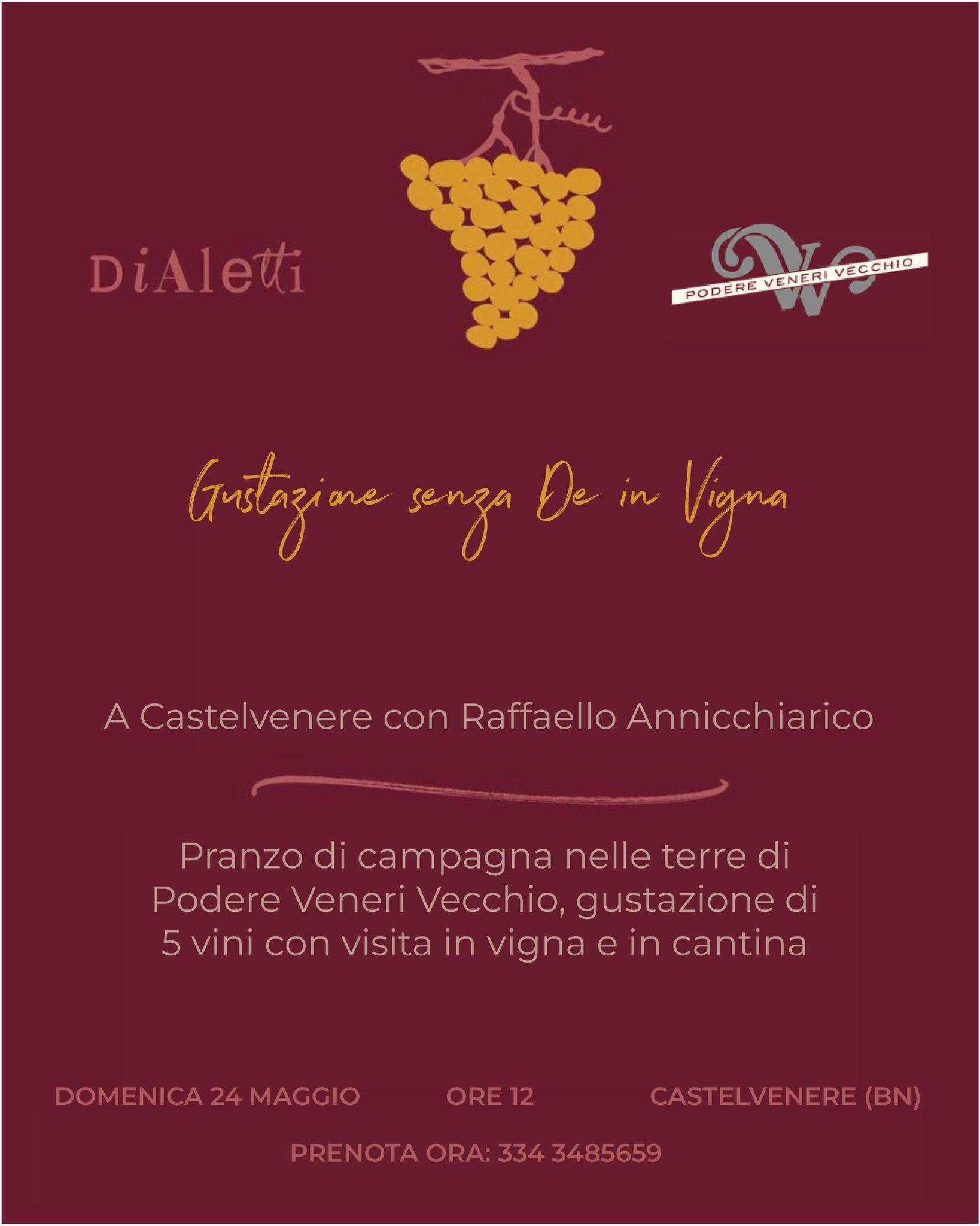 Gustazione senza De IN VIGNA da Podere Veneri Vecchio