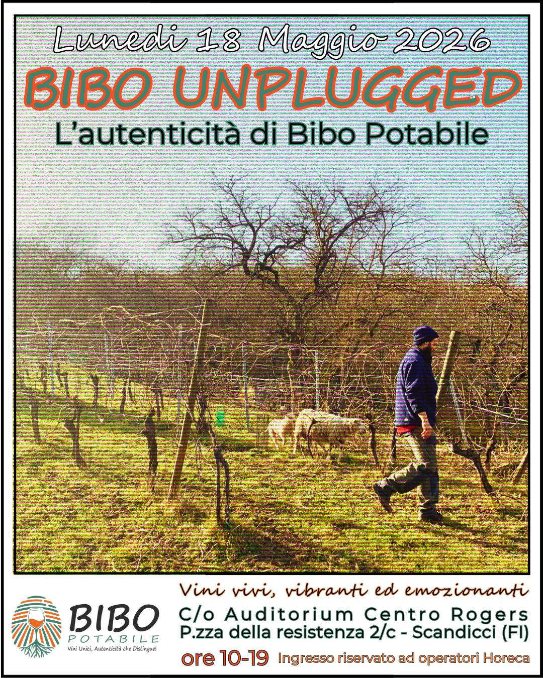 BIBO UNPLUGGED