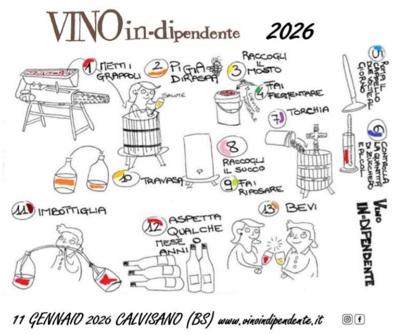 Vino in-dipendente #11