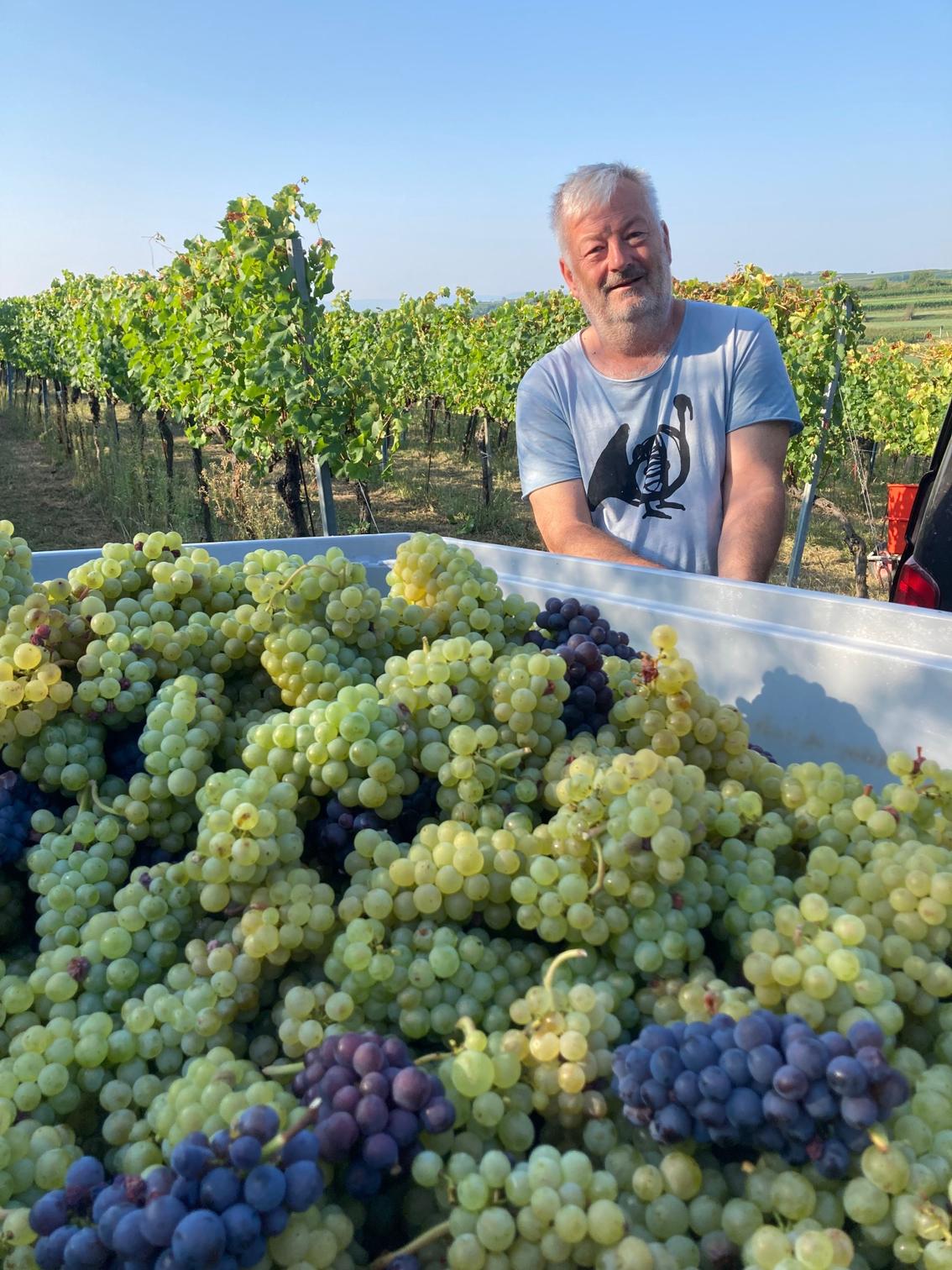 Vendanges 2026 - Weingut Nord & Süd