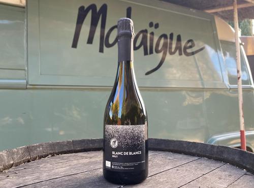 Blanc de Blanc - Domaine de Malaïgue - francois-reboul -2023