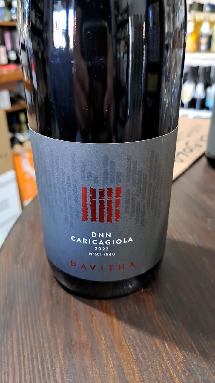 DNN CARICAGIOLA - Davitha - francesco-mariotti -2022