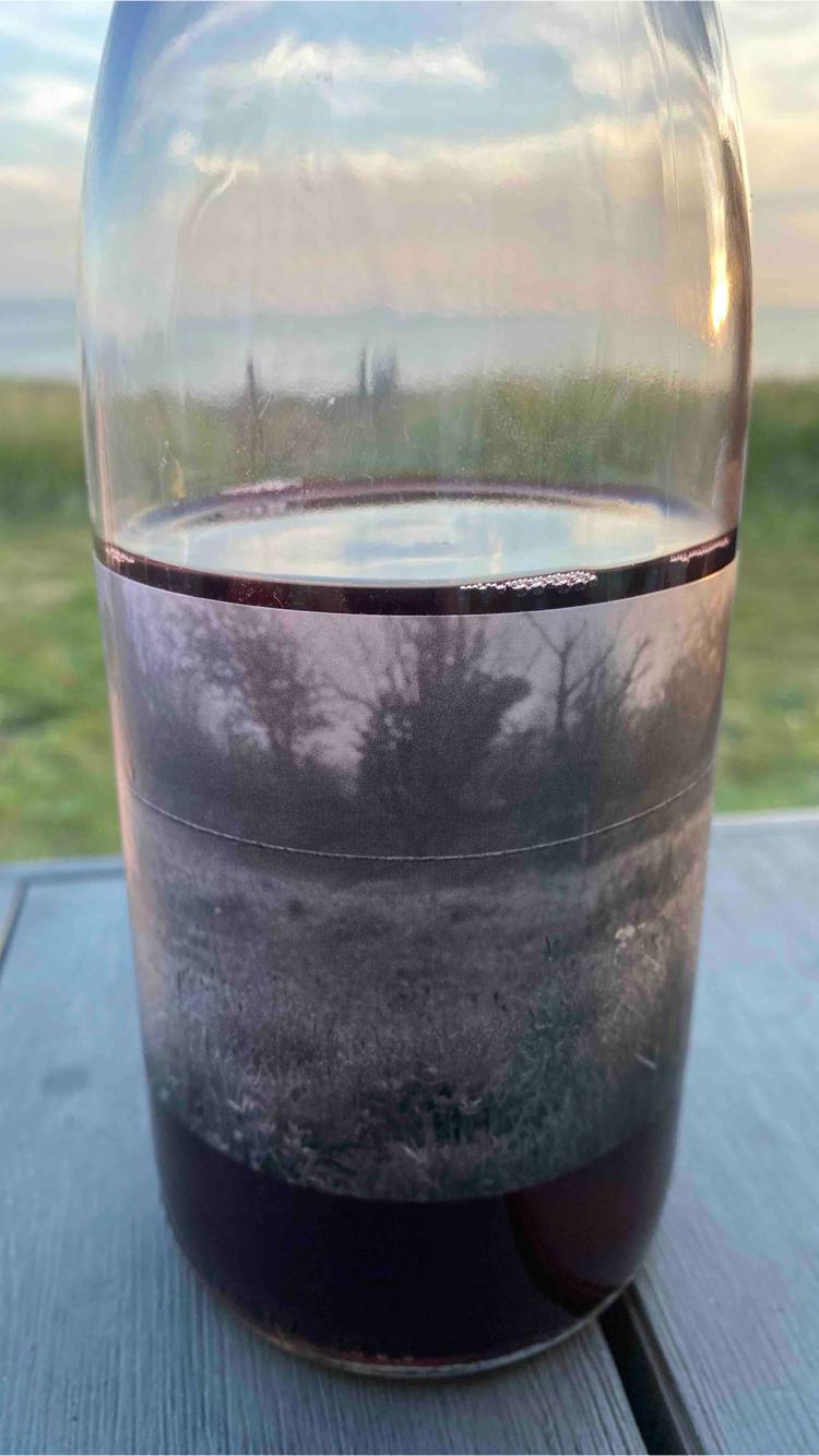 Les champs jumeaux - Les Chants Jumeaux - matthieu-lhotelier -2022