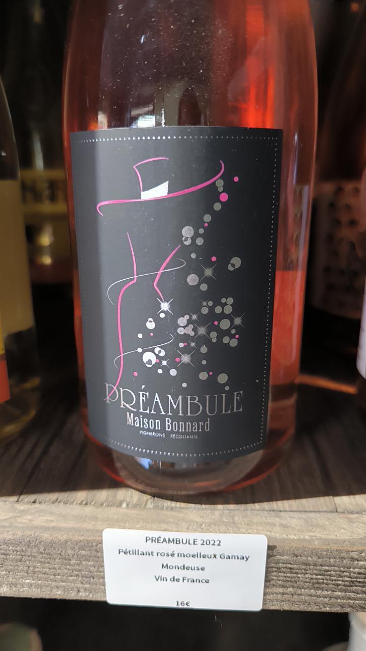 Préambule - Maison Bonnard - frederic-romain-et-anne-sophie-bonnard -2022