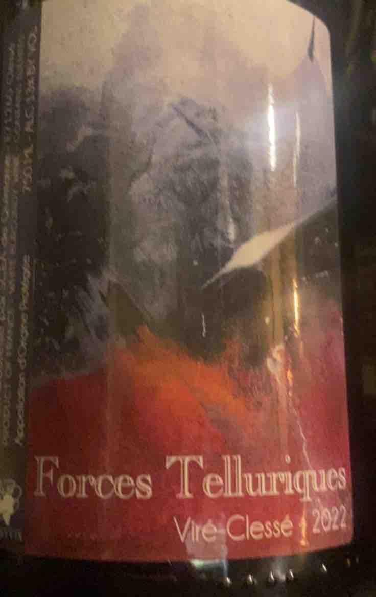 Forces telluriques - Domaine Guillemot-Michel - sophie-gautier-roussille -2022